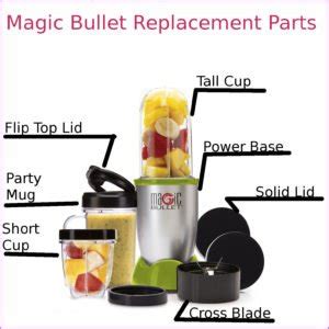 Essential Magic Bullet Replacement Parts Every Canadian Tire Shopper Should Have